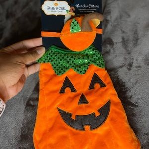 Pet Smart Guinea Pig Costume